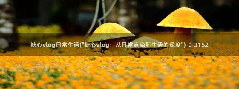 糖心vlog：糖心vlog日常生活(\