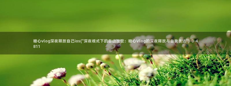 糖心vlgo免费观看姐姐的朋友：糖心vlog深夜释放自己io